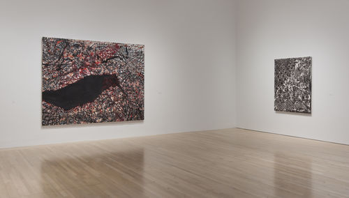 Scorched Earth installation view