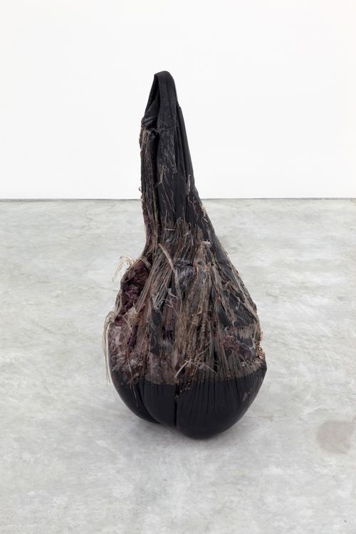 Kevin Beasley, Untitled (Lumbar), 2015