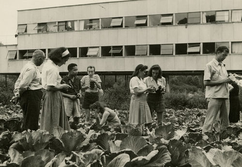 Photography class in Cabbage Patch. n.d. Photo by Barbara Morgan. 