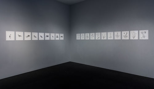 Hammer Projects: Marwa Arsanios, installation view, Hammer Museum, Los Angeles, September 17, 2016–January 8, 2017. Photo: Brian Forrest.