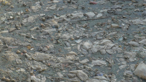 Marwa Arsanios, Still from Falling is not collapsing, falling is extending, 2016. 