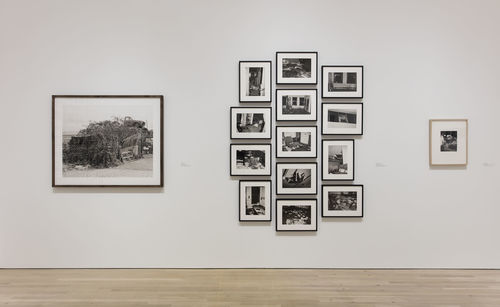 Still Life with Fish: Photography from the Collection, installation view, Hammer Museum, Los Angeles, February 13-May 15, 2016. Photo: Brian Forrest.