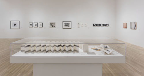 Still Life with Fish: Photography from the Collection, installation view, Hammer Museum, Los Angeles, February 13-May 15, 2016. Photo: Brian Forrest.