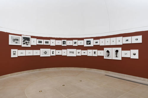 Hammer Projects: Andrea Büttner. Installation view, Hammer Museum, Los Angeles, September 9, 2017‐January 7, 2018. Photo: Jeff McLane.