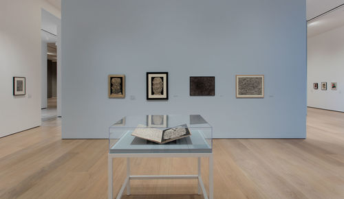 Dubuffet Drawings, 1935-1962, installation view, Hammer Museum, Los Angeles, January 29-April 30, 2017. Photo: Brian Forrest.