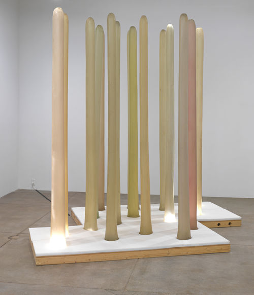 Barbara T. Smith, Field Piece, 1968-1972. 