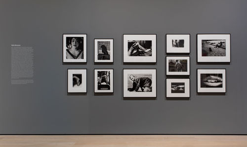 Living Apart Together: Recent Acquisitions from the Hammer Contemporary Collection. Installation view, Hammer Museum, Los Angeles, May 20–August 13, 2017. Photo: Brian Forrest.