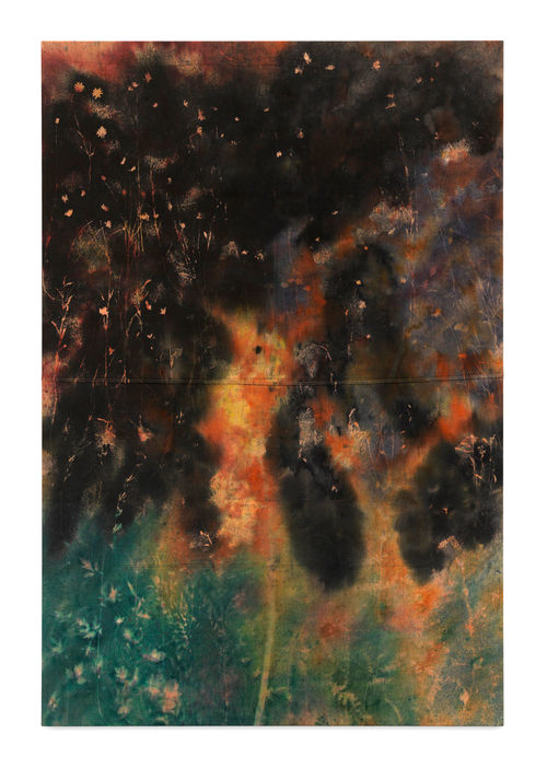 Sam Falls, Untitled (Bovina, N.Y., field to forest 3), 2017. 