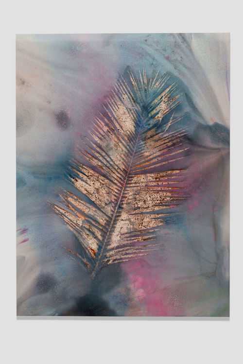 Sam Falls, Untitled (Venice, CA, Palm 9), 2014.