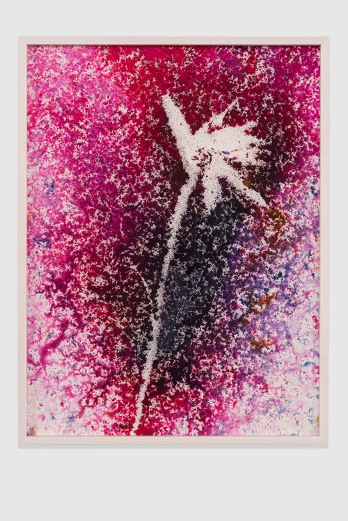 Sam Falls, Untitled (Venice, CA, Birds of Paradise drawing 2), 2014. 