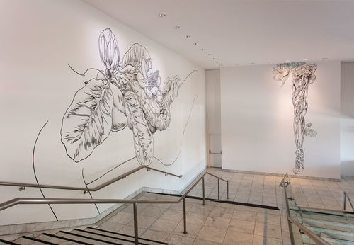 Hammer Projects: Tabaimo, installation view, Hammer Museum, Los Angeles, August 12-December 3, 2017. Photo: Brian Forrest.