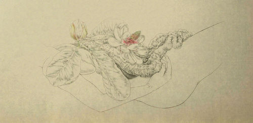 Tabaimo, flow-wer (18), 2015. 