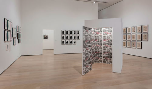 Adrian Piper: Concepts and Intuitions, 1965-2016, installation view, Hammer Museum, Los Angeles, October 7, 2018–January 6, 2019. Photo: Brian Forrest.