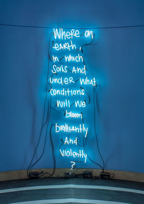 EJ Hill, Excellentia, Mollitia, Victoria, 2018. Installation view, Made in L.A. 2018, June 3-September 2, 2018, Hammer Museum, Los Angeles. Photo: Brian Forrest.