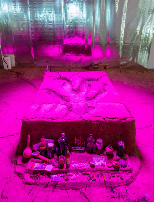 Candice Lin, La Charada China, 2018. Installation view, Made in L.A. 2018, June 3-September 2, 2018, Hammer Museum, Los Angeles. Photo: Brian Forrest.
