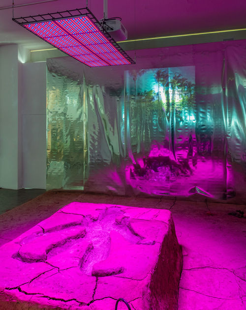 Candice Lin, La Charada China, 2018. Installation view, Made in L.A. 2018, June 3-September 2, 2018, Hammer Museum, Los Angeles. Photo: Brian Forrest.
