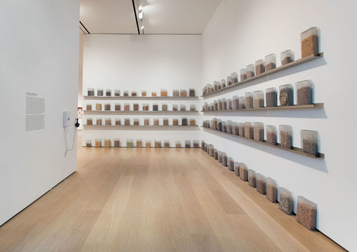 Michael Queenland, Cereals for space migration, 2018 
