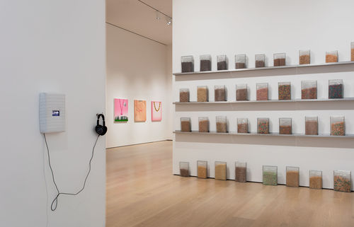 Michael Queenland, Cereals for space migration, 2018 
