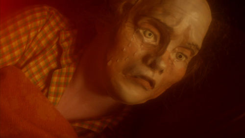 Molly Lowe, Still from Redwood, 2016. HD video, color, sound. 60 min. Courtesy of the artist.