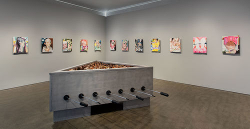 Hammer Projects: Molly Lowe, installation view, Hammer Museum, Los Angeles, January 20–May 6, 2018. Photo: Brian Forrest.