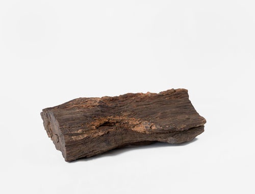No title, n.d. Petrified wood from the studio of Carol Bove