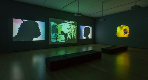 Unspeakable: Atlas, Kruger, Walker: Hammer Contemporary Collection. Installation view, Hammer Museum, Los Angeles, January 20-May 13, 2018. Photo: Brian Forrest.