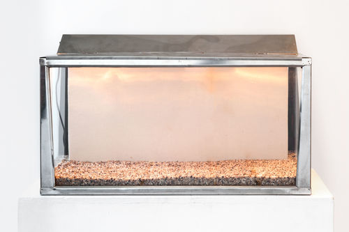Allen Ruppersberg, Untitled (Canvas Aquarium), 1968. Glass aquarium with light; canvas panel, feather, rocks. Courtesy Greene Naftali, New York; photo: Martha Fleming-Ives.