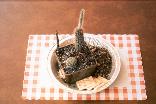 Allen Ruppersberg, Meals from Al’s Café, 1969. Mix media, aluminum pie tins, paper placemats. Courtesy the artist; photos: Gary Krueger; digital scan: Augusta Wood.