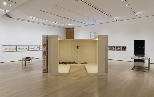 Allen Ruppersberg: Intellectual Property 1968–2018, installation view, Hammer Museum, Los Angeles, February 10–May 12, 2019. Photo: Jeff McLane