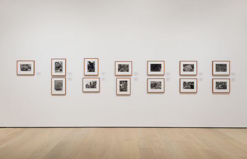 Celebration of Our Enemies: Selections from the Hammer Contemporary Collection, installation view, Hammer Museum, Los Angeles, June 9-September 8, 2019. Photo: Jeff McLane