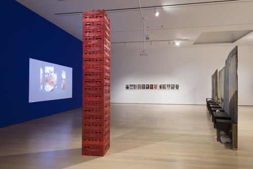 Celebration of Our Enemies: Selections from the Hammer Contemporary Collection. Installation view, Hammer Museum, Los Angeles, June 9-September 8, 2019. Photo: Jeff McLane
