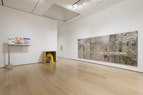 Dirty Protest: Selections from the Hammer Contemporary Collection, installation view, Hammer Museum, Los Angeles, January 24-May 19, 2019. Photo: Jeff McLane.