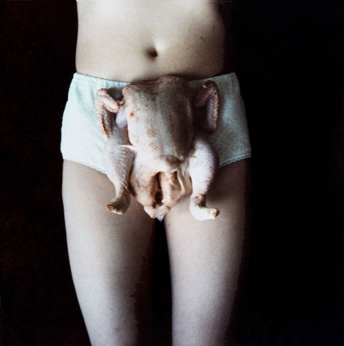 Sarah Lucas, Chicken Knickers, 2014.
