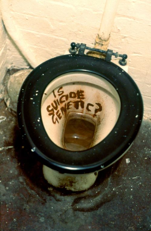 Sarah Lucas, Is Suicide Genetic?, 1996.