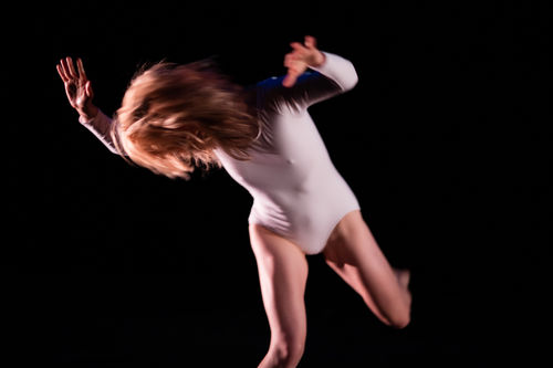 Elisabeth Wahlander, LADYBEAST AND THE IMPERMANENT SKY, 2016.