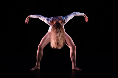 Elisabeth Wahlander, LADYBEAST AND THE IMPERMANENT SKY, 2016.