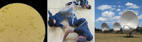 The Laboratory for Embodied Intelligences, (early sketch)  