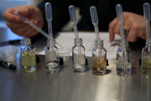 Experimental Perfumery with The Institute for Art and Olfaction