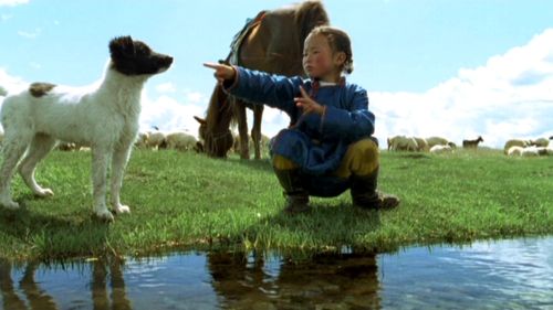 The Cave of the Yellow Dog