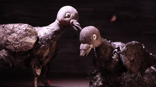 Birds of a Feather, directed by Dann Parry