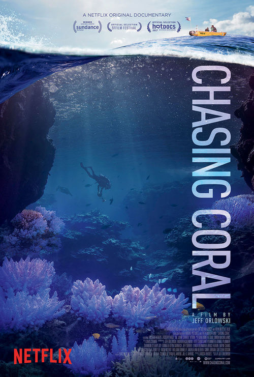 Chasing Coral