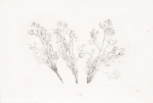 William Henry Fox Talbot
Three Stems of Grasses,
1852–1857