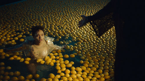 JellyWolf, directed by Alma Har'el