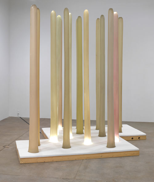 Barbara T. Smith, "Field Piece," 1968–72