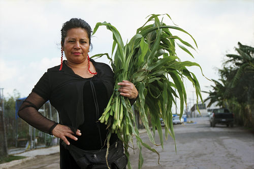 Still from The Garden