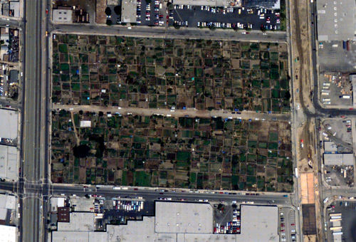 Still from The Garden