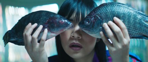 Meticulous Bird by Thao & The Get Down Stay Down

