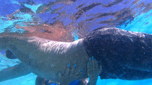 Suné Woods, Work from Made in L.A. 2018