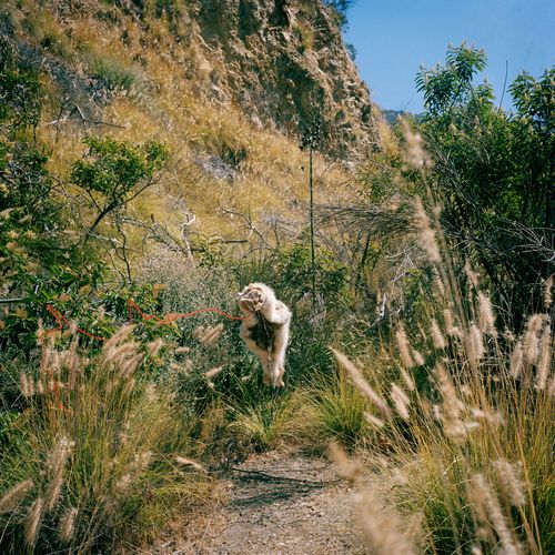 Mercedes Dorame, Works from Made in L.A. 2018