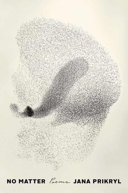 Book cover for No Matter by Jana Prikryl